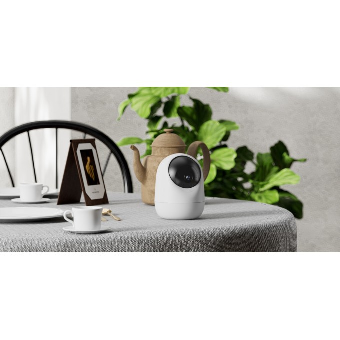 Beveiligingscamera AERIUM Zooma 25F